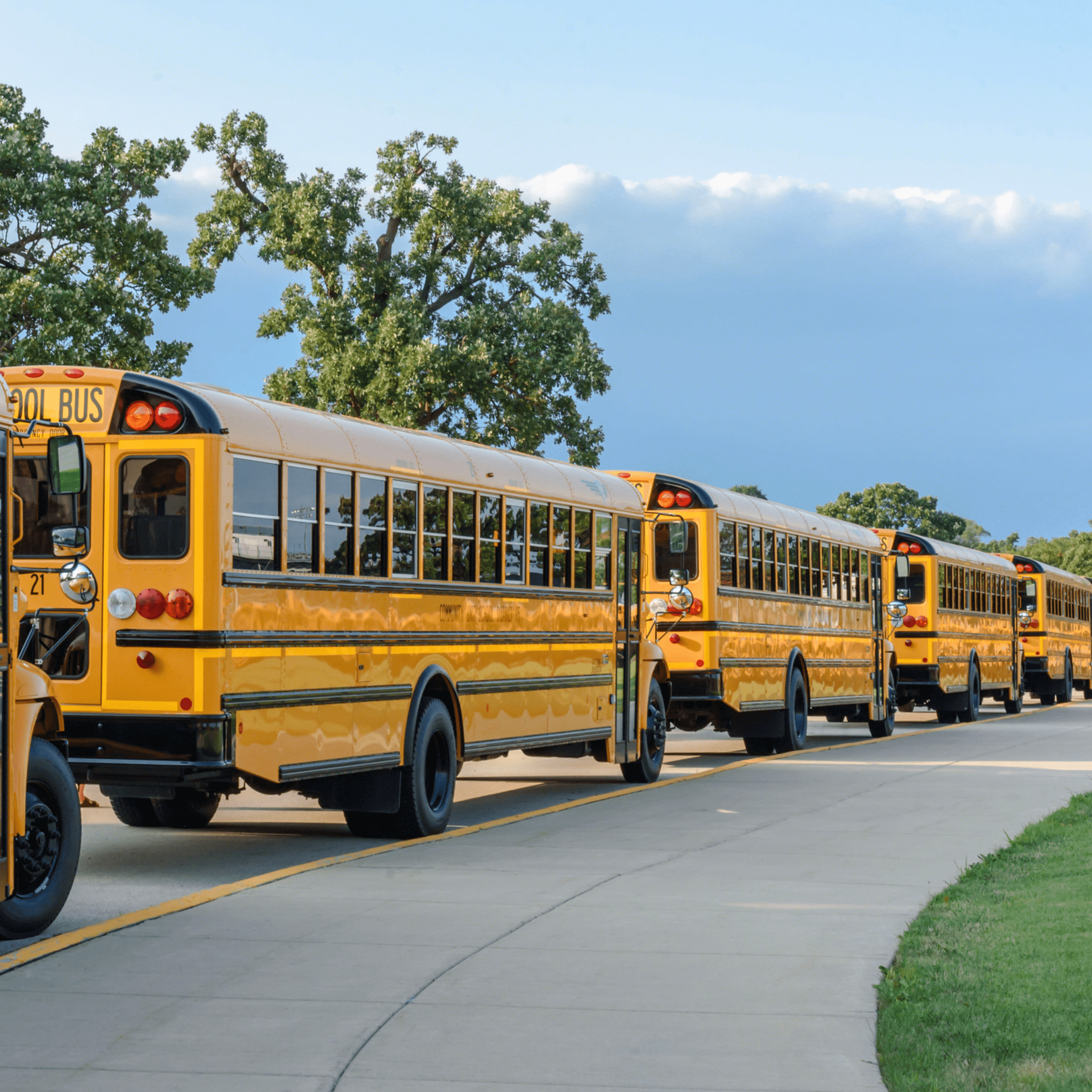 school buses